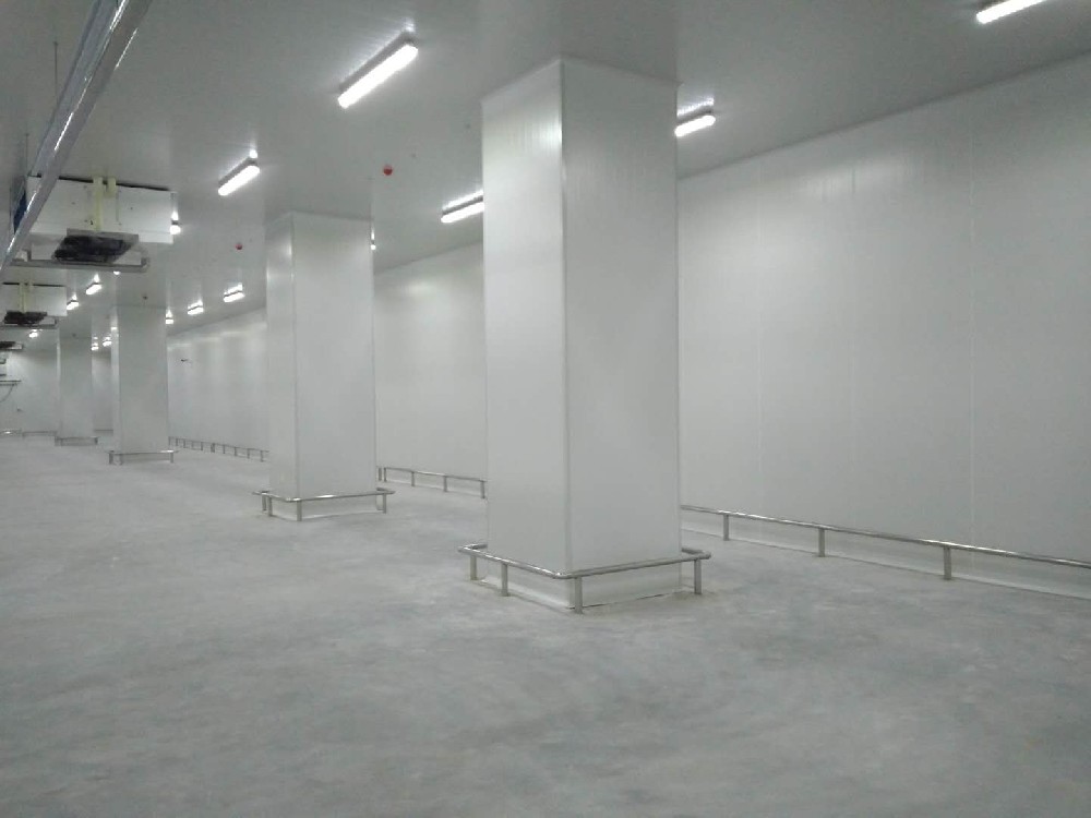 建造200噸的肉類冷鏈冷凍庫(kù)如何做好規(guī)劃設(shè)計(jì)？
