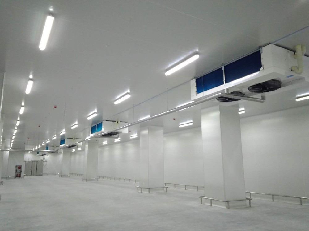 建造40000㎡低溫冷藏庫(kù)需要的費(fèi)用是多少？