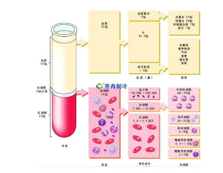 -30℃～-80℃血漿蛋白低溫冷凍庫規(guī)范，冷庫安裝價(jià)格